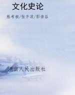 文化史论