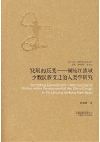 发展的反思——澜沧江