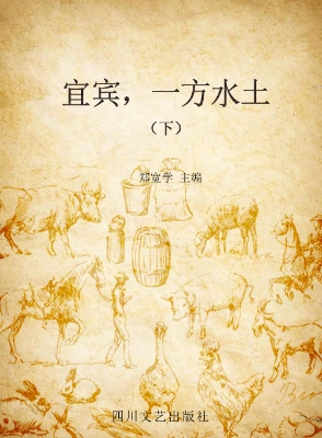 宜宾，一方水土（下）