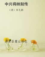 中兴将帅别传