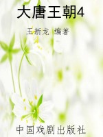 大唐王朝4