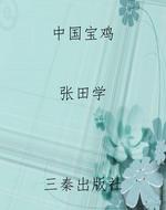 中国宝鸡