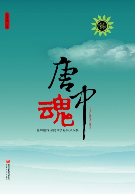 唐中魂——银川唐徕回