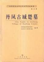 丹凤古城楚墓
