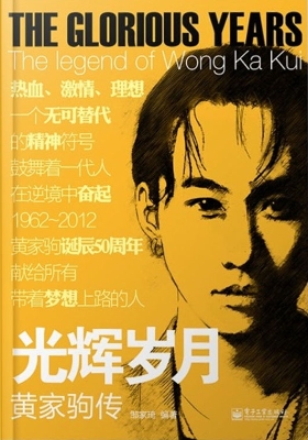 光辉岁月——黄家驹传