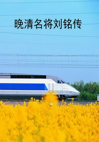 晚清名将刘铭传