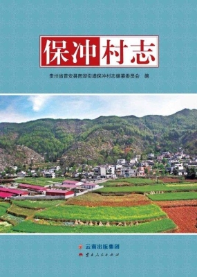 保冲村志