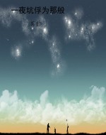 一夜坑俘为那般