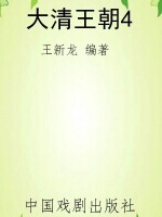 大清王朝4