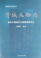 渭城文物志