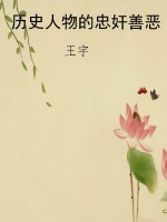 历史人物的忠奸善恶