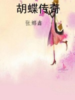 胡蝶传奇