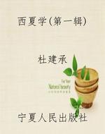西夏学（第一辑）