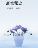 唐宫秘史