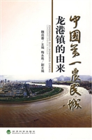 中国第一农民城：龙港镇