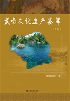 武鸣文化遗产荟萃（下卷