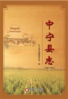 中宁县志（1986-2006）