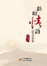 彭阳情韵：彭阳文史资料