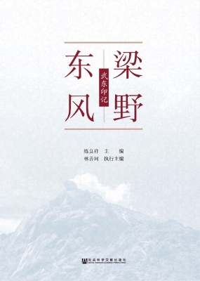 梁野东风：武东印记