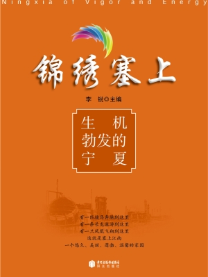 生机勃发的宁夏