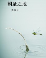 朝圣之地