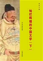 灿烂辉煌的中国文学（下
