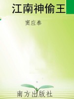 江南神偷王