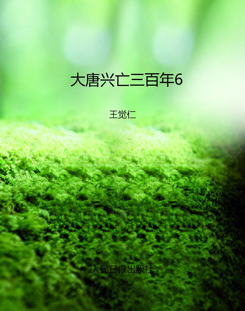 大唐兴亡三百年6