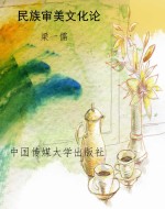 民族审美文化论