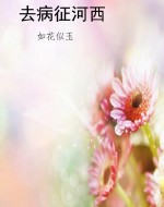 去病征河西