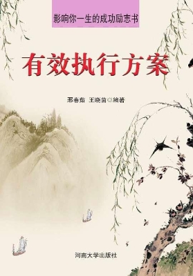 有效执行方案
