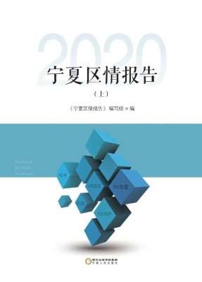 宁夏区情报告 2020（上）