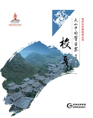 大山中的箐苗寨——梭
