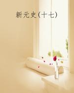 新元史(十七)
