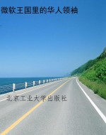 微软王国里的华人领袖