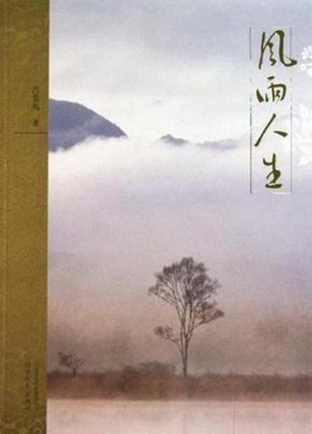 风雨人生