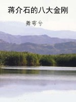 蒋介石的八大金刚