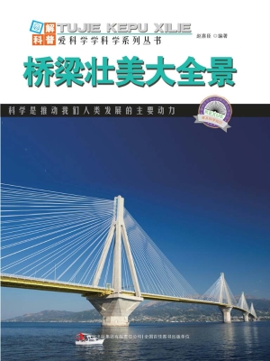 桥梁壮美大全景