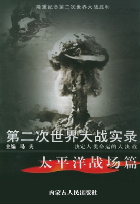 第二次世界大战实录·