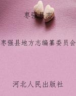 枣强县志