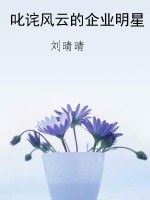 叱诧风云的企业明星