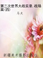 第二次世界大战实录.