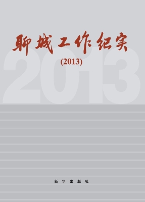 聊城工作纪实（2013）
