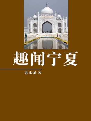 趣闻宁夏