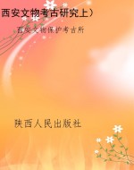 西安文物考古研究上）