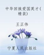 中华回族爱国英才（精装
