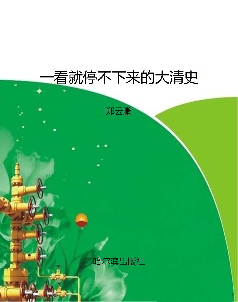 一看就停不下来的大清
