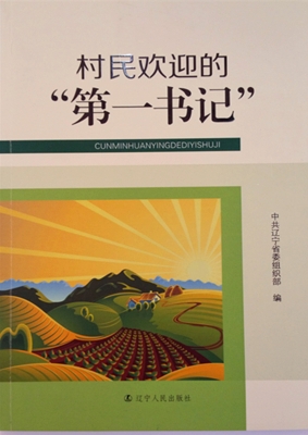 村民欢迎的“第一书记