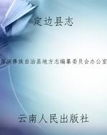 定边县志