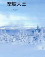 塑胶大王